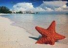 Best Places to Visit in the Bahamas