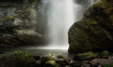 Discover Madhya Pradesh's Monsoon Magic: Waterfalls and Wildlife