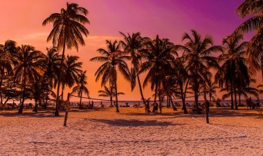 The Ultimate Caribbean Guide: Discovering the Best Underwater Experiences