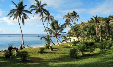 Madagascar Travel Guide: Essential Information for Your Visit
