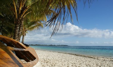 Discovering Mauritius: Diverse Beach Escapes
