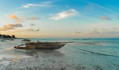 Top 12 Activities in Tanzania
