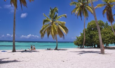 Fun and Relaxation: The Ultimate Guide to Beach Activities
