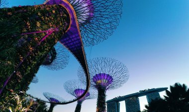 How to Spend a 24-Hour Layover in Singapore