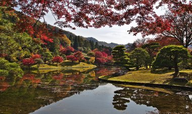 A Day in Kyoto: Exploring the Timeless Beauty of Japan