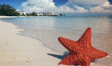 Best Places to Visit in the Bahamas