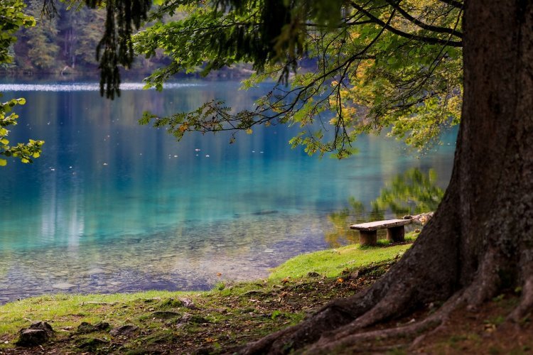 Experience the Best Lakes for a Summer Vacation in the USA