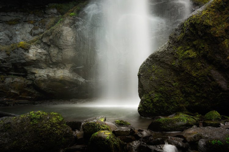 Scopri la magia del monsone del Madhya Pradesh: cascate e fauna selvatica