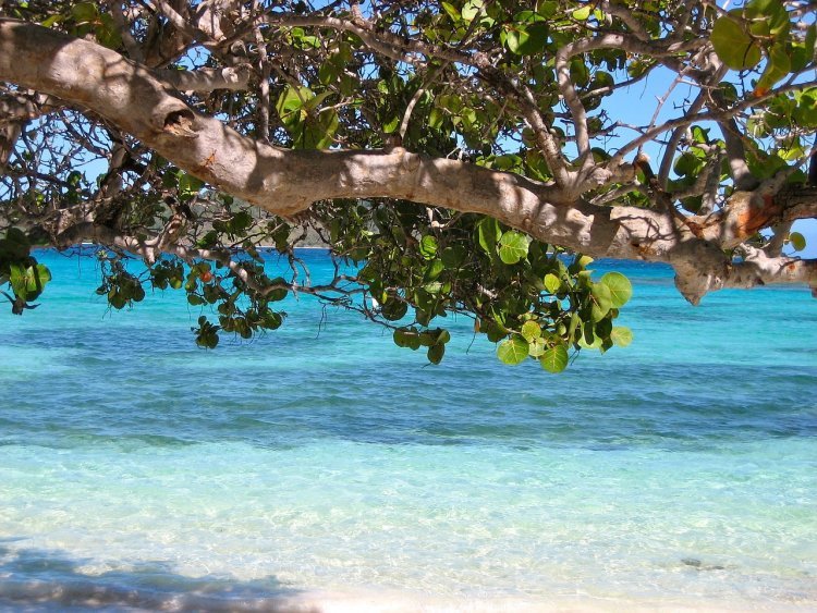 Discover Barbados Beyond the Beach: Five Amazing Road Trips