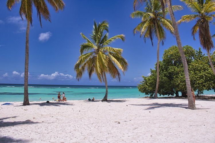 Fun and Relaxation: The Ultimate Guide to Beach Activities